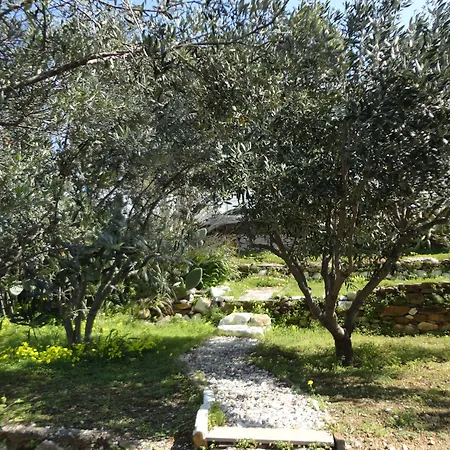 Meltemi Studios&apartments *